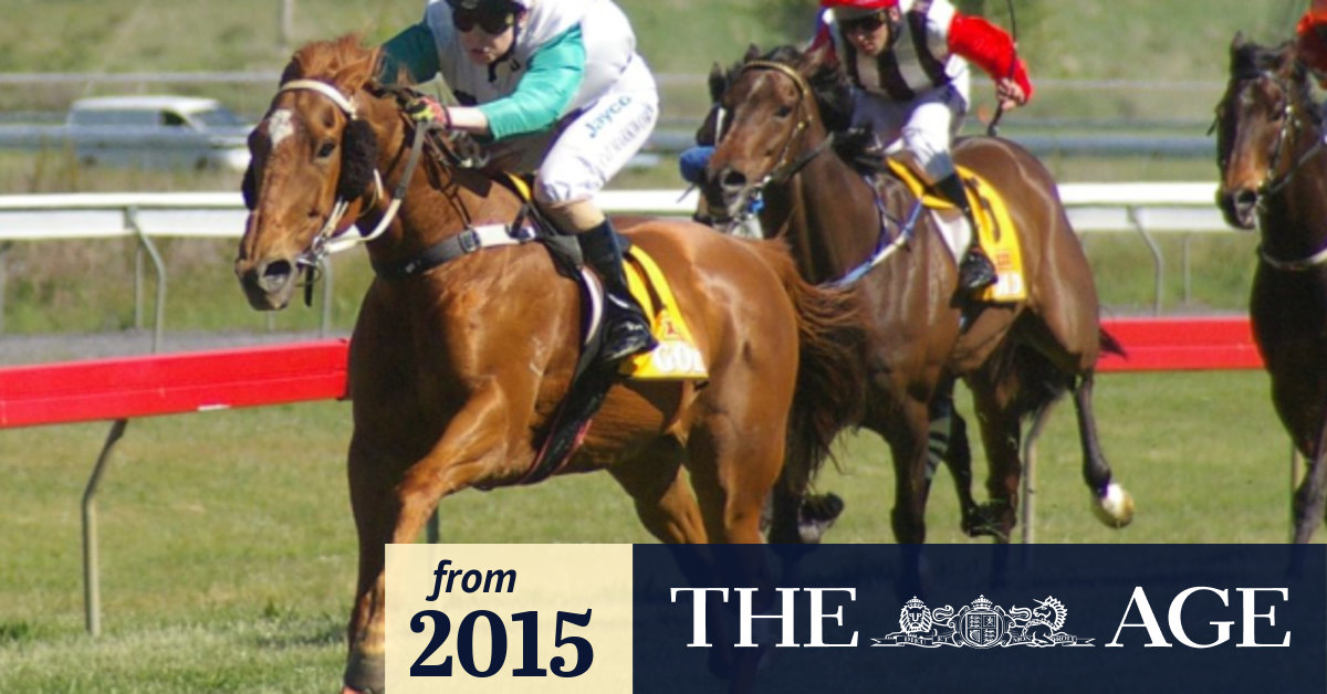 Australia's oldest racehorse Star Of Universe to miss 200 starts as